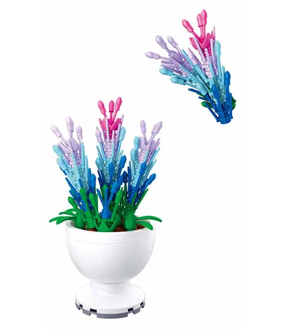 Sluban Pleyerid Potted Plants- Lavender