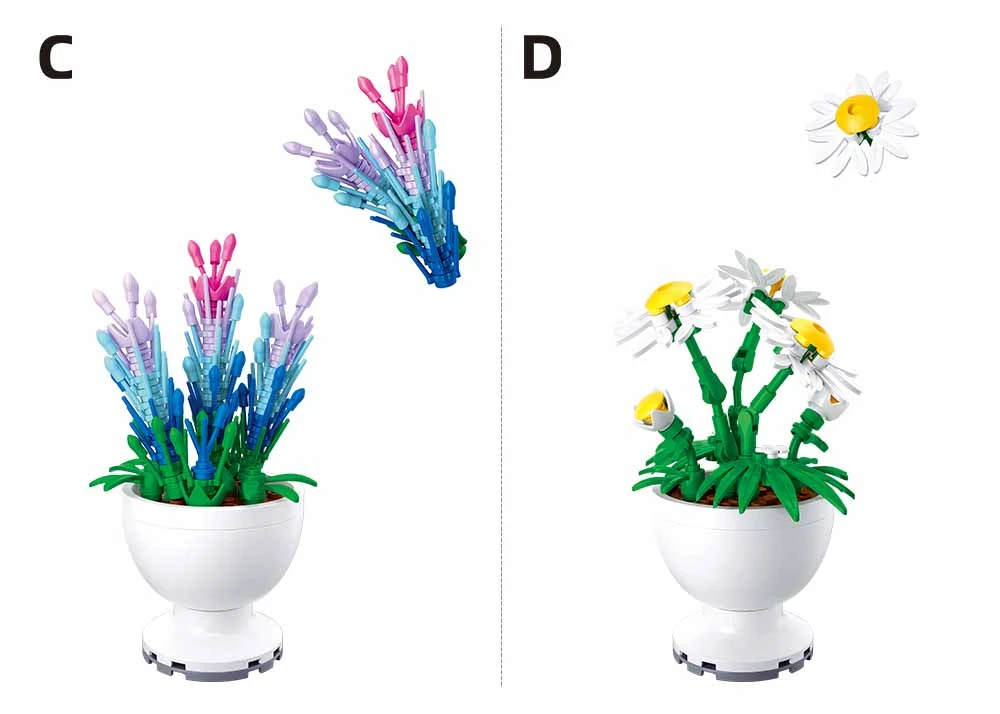 Sluban Pleyerid Potted Plants- Lavender