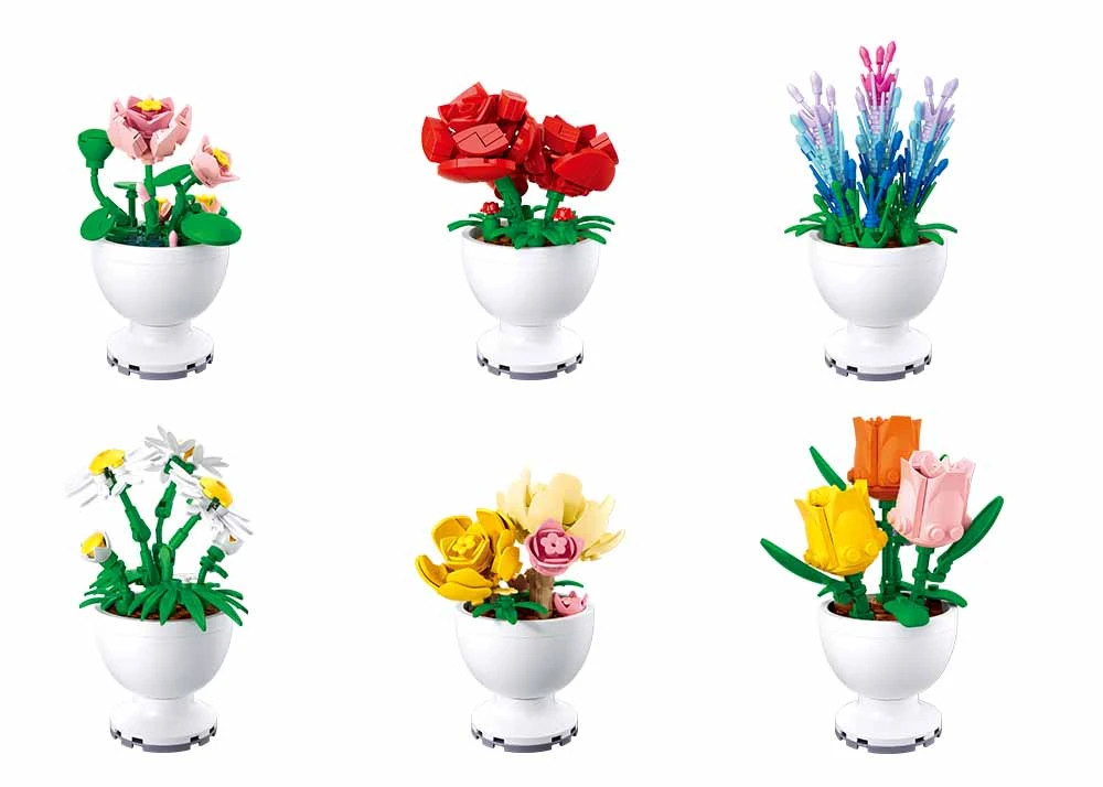 Sluban Pleyerid Potted Plants- Lavender