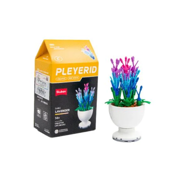 Sluban Pleyerid Potted Plants- Lavender