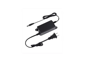 Dahua-12V-20A Adapter