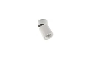 C-MAS Cylinders Light Black / White 10 watt VS-S044