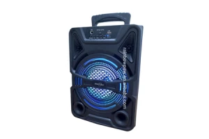 مكبر صوتي منزلي لا سلكي 8 بوصه  GTS-1270