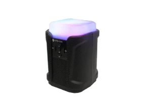 KTS Speaker KTS-1315