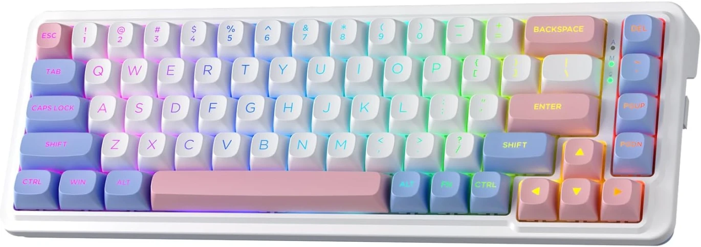 Redragon K709 PRO 65% Wireless Gasket RGB Gaming Keyboard, 68 Keys Hot-Swap Compact Mechanical Keyboard w/Free-Mod Socket, 5-Layer Noise Dampening & Round PBT Keycaps, Quiet Custom Linear Switch