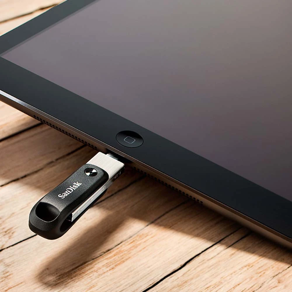 Mandisk 256gb Ixpand Flash Drive Go Lightning for iPad ، iPhone [SDIX60N-256G-GN6NE]