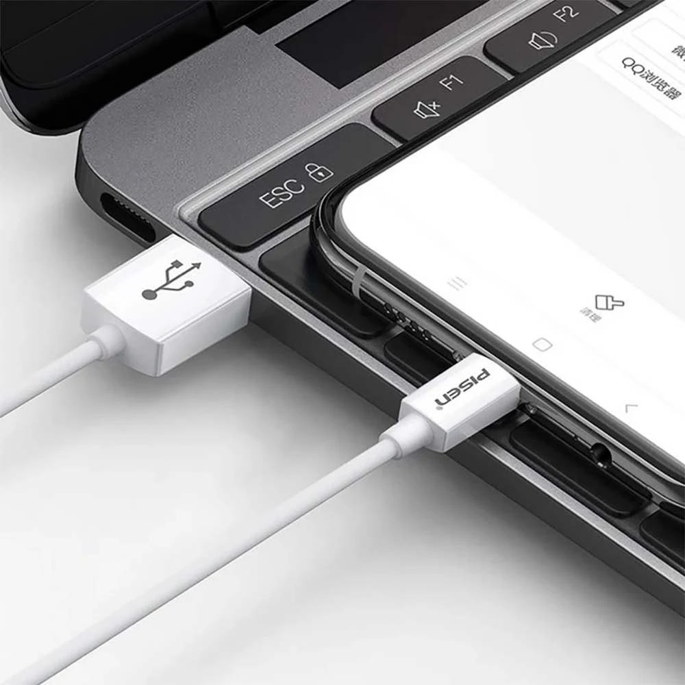 Pisen Mr White USB-A To USB-C 1m White  TC25-1000