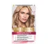 Loreal Excellence Hair Color Cream No. 8.12 Light Blonde