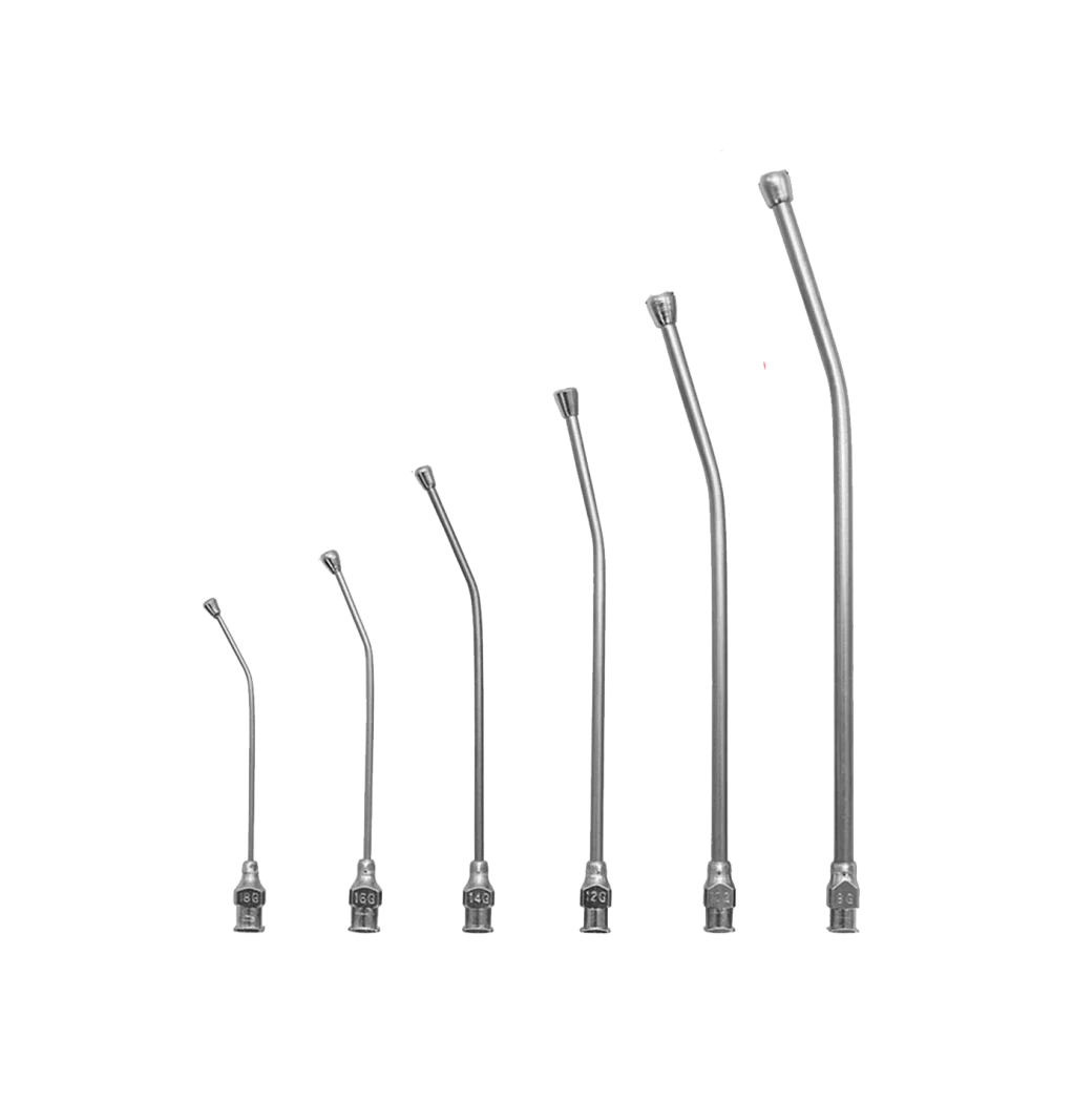 Feeding Needles for Chicks – Stainless or plastic tips for syringe-assisted hand feeding