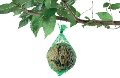 Fatball – High-energy nutrition ball for pet and wild birds