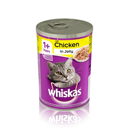 Whiskas Jelly – أكل رطب للقطط بنكهة الجيلي اللذيذ