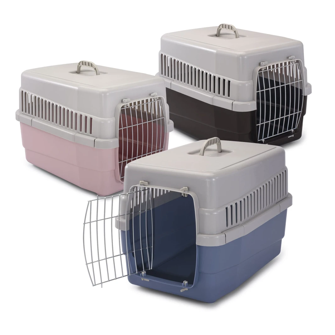 Cary versatile box for dogs and cats
