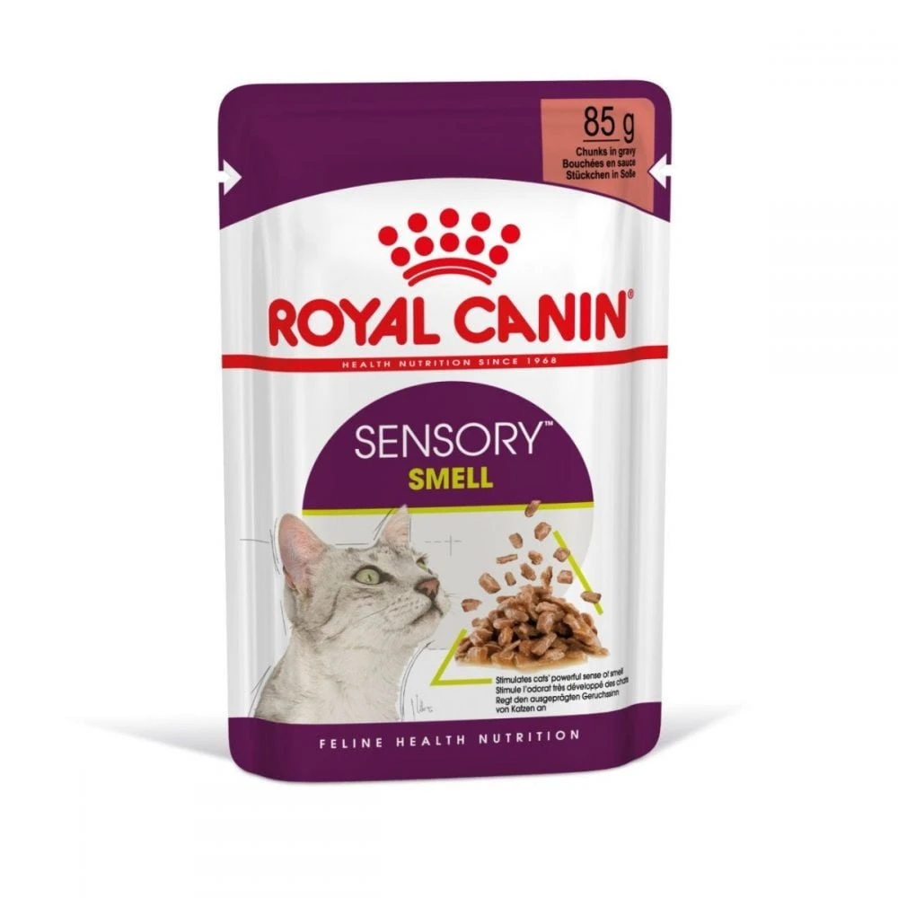 Royal Canin Sensory Smell 85g – طعام رطب يعزز حاسة الشم لدى القطط