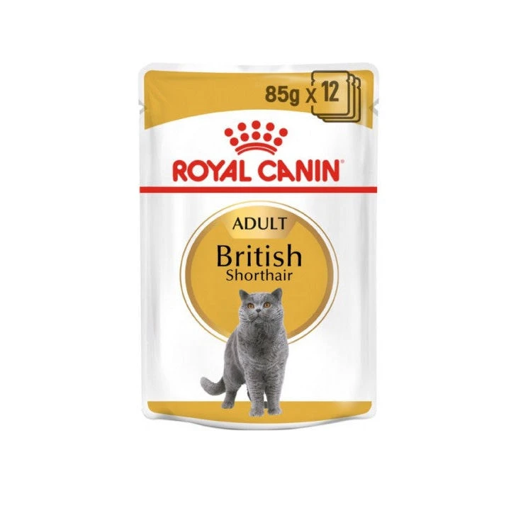 Royal Canin British Shorthair – طعام رطب خاص بسلالة القط البريطاني قصير الشعر