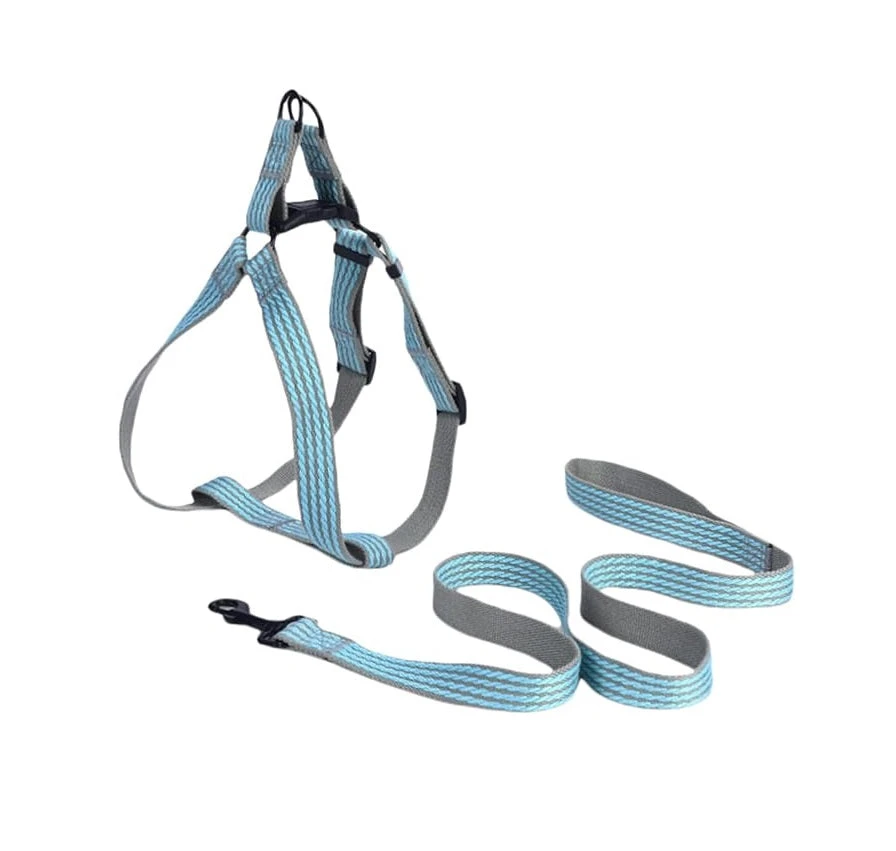 Leash for small and medium dogs and cats, multi-use