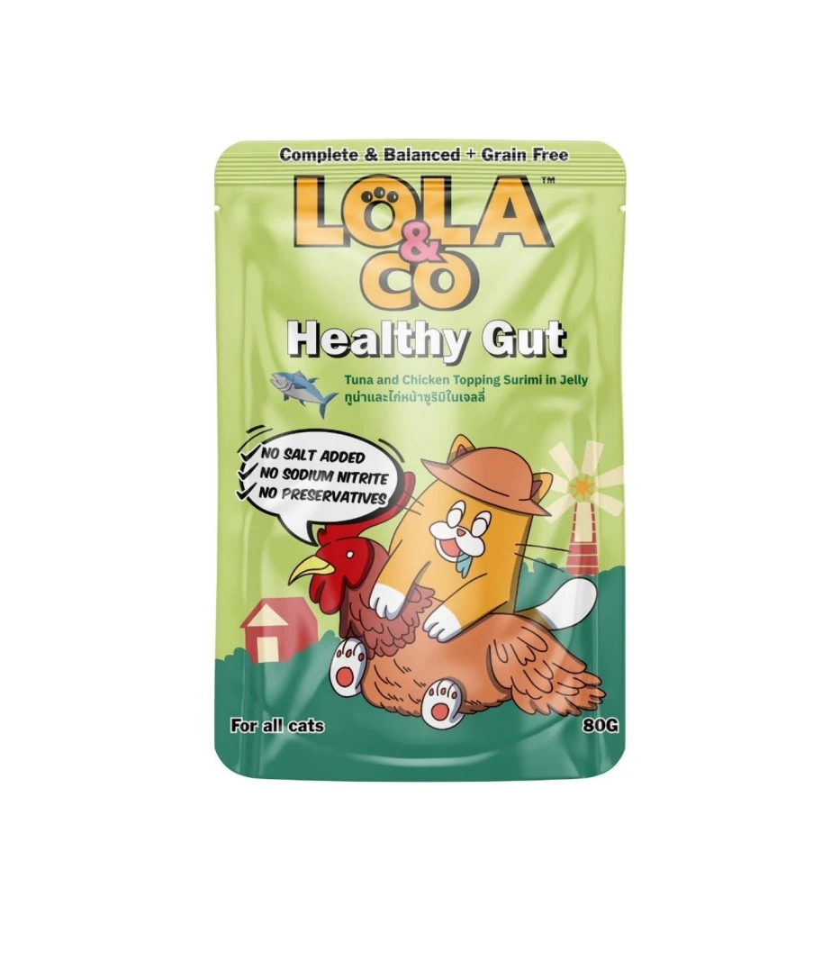 Lola & Co Healthy Gut Wet Food for Cats – Wet food supporting digestive health