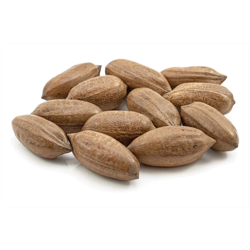 Ifc Salted Raw Pecan Nuts in Shell