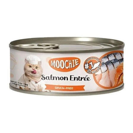 Moshe Salmon
