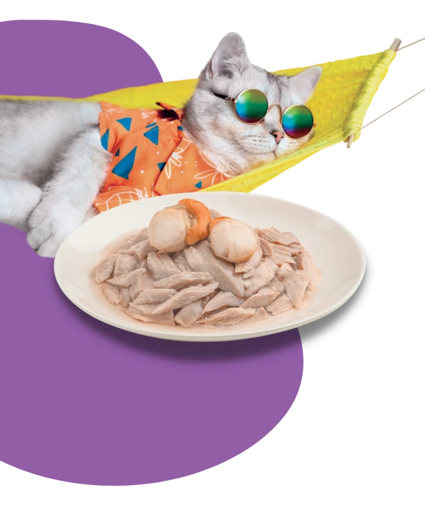 Moshe Tuna Recipe with Plot with Jewelry