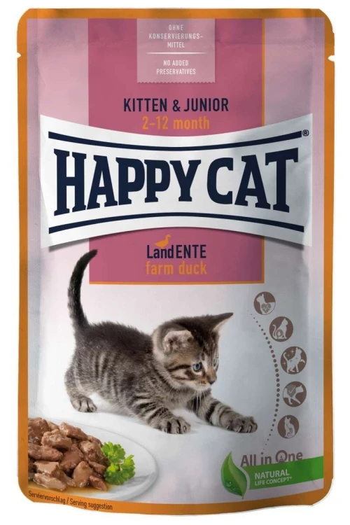 Witt Food Kiten Pet