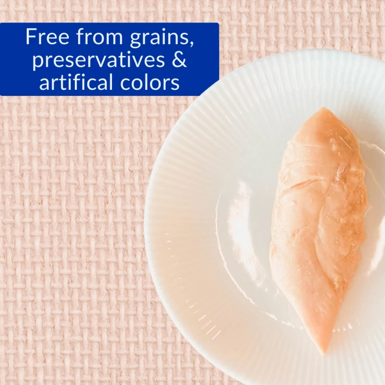 Approach an economic package, high -quality, multi -quality, chicken flavors