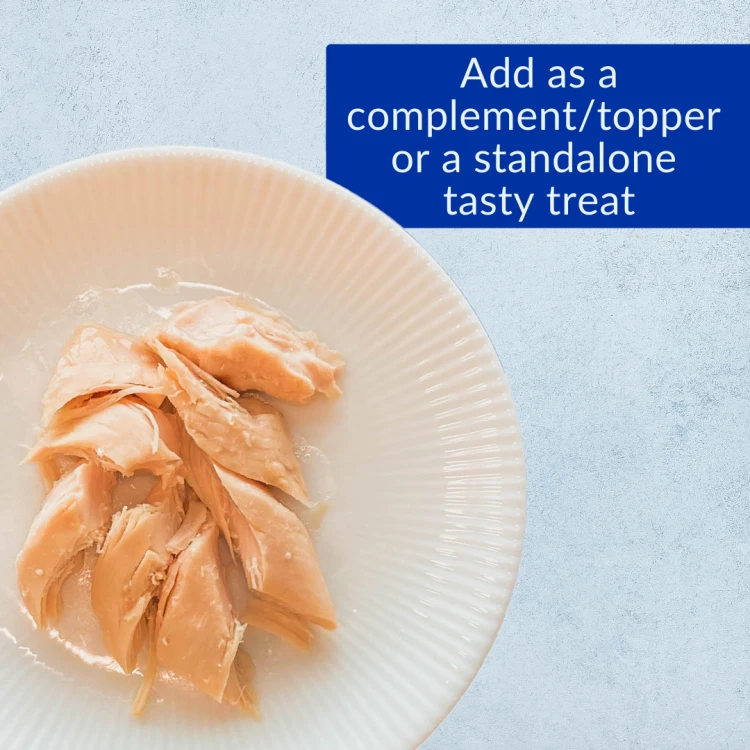 Approach an economic package, high -quality, multi -quality, chicken flavors