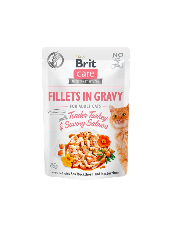 Brett slices of turkey and salmon with broth