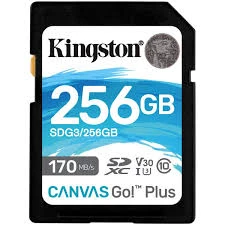 Kingston 256GB Canvas GO! بالإضافة إلى بطاقة ذاكرة SD [SDG3/256GB]