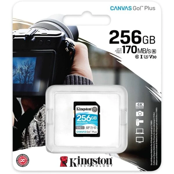 Kingston 256GB Canvas GO! بالإضافة إلى بطاقة ذاكرة SD [SDG3/256GB]