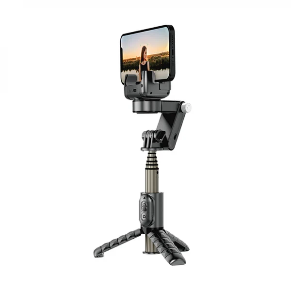 WIWU WI-SE006 Detachable Tripod Selfie Stick – Black