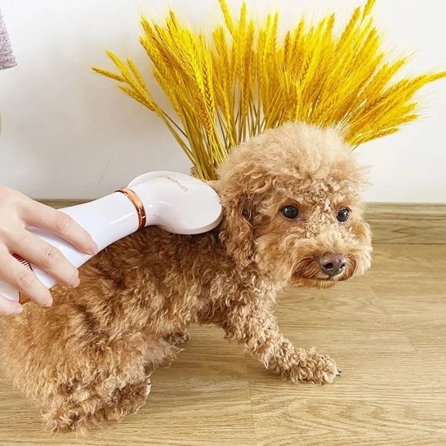Comb