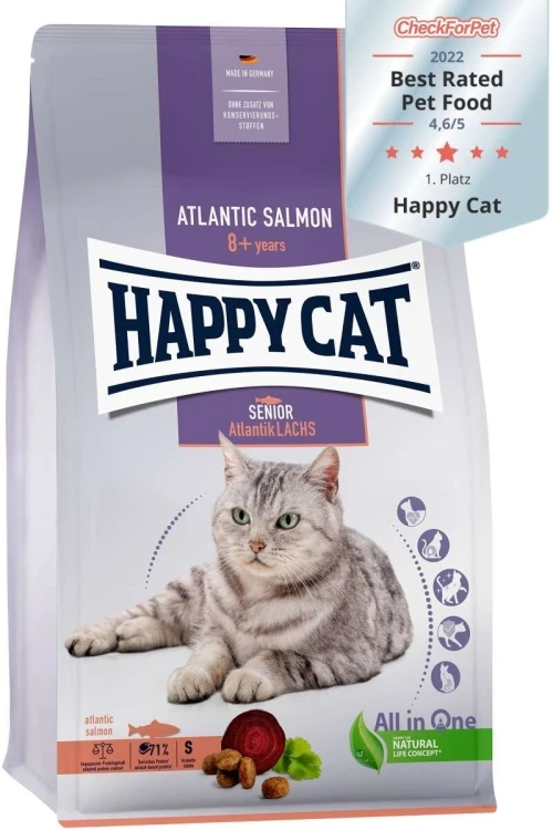 هبي كات سينيور
