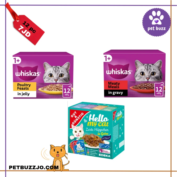 Wet food box offers (12 pcs *100gm) mix flavours