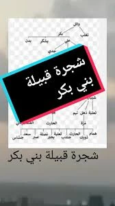 Qibba Bakr bin Wael