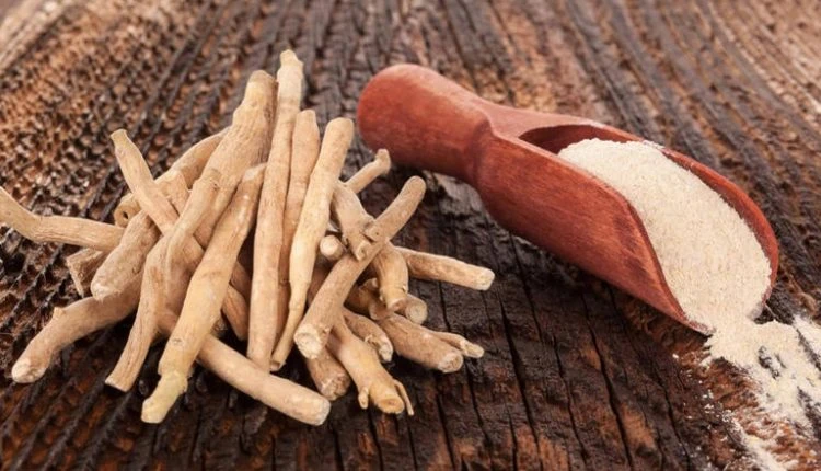 مواعيد وطرق زراعة الأشواجندا