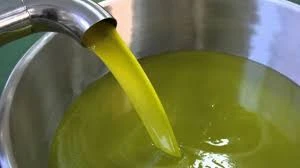 زيت الزيتون 