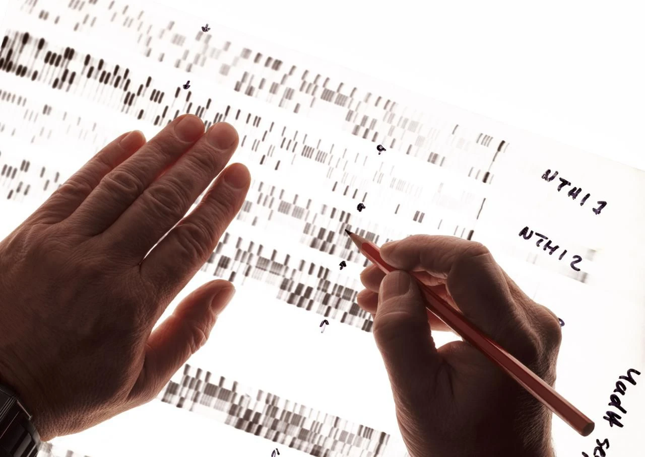 genetic polymorphism