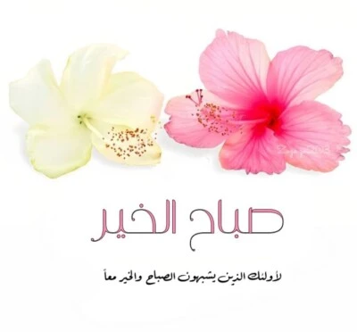اجمل ما قيل في الصباح