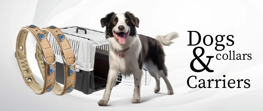 Dogs Supplies & Accessories2