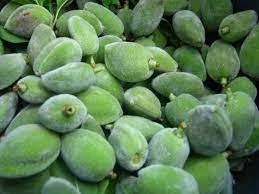 اللوز الاخضر 