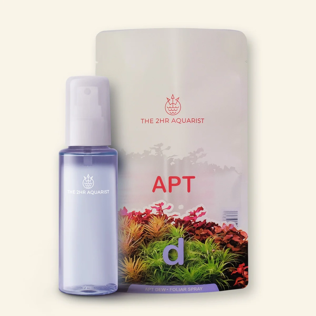 2HR APT d  ( dew )