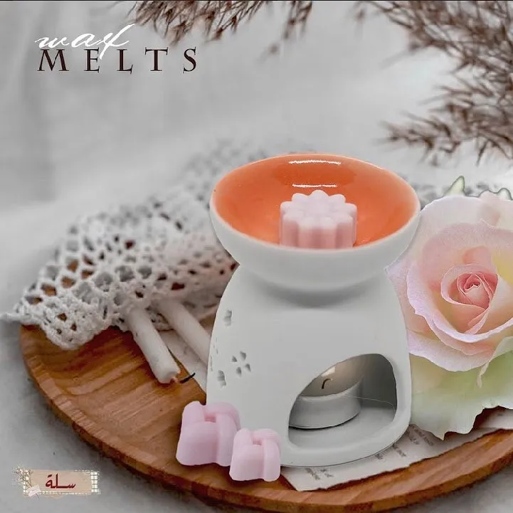 6 pcs wax melts + wax burner