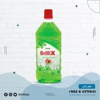 Brillix Multi purpose cleaner - Green