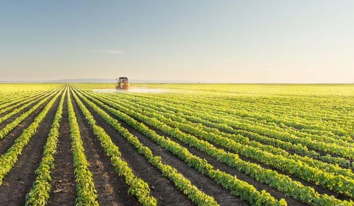 The agricultural market in West Asia